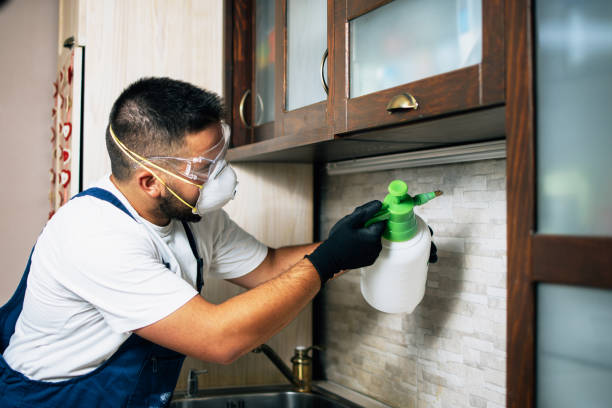 Best Pest Prevention Services  in South Coatesville, PA
