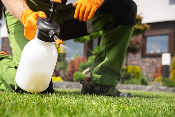 Best Pest Control Near Me  in South Coatesville, PA