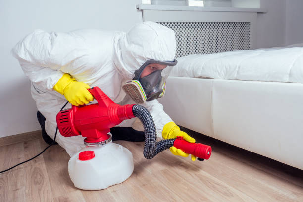 Professional Pest Control in South Coatesville, PA