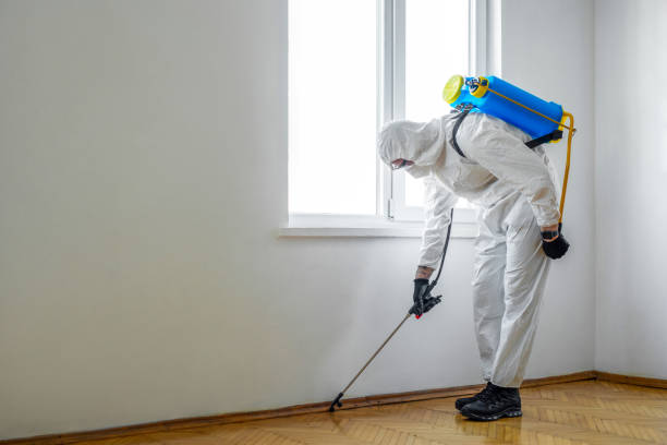 Professional Pest Control in South Coatesville, PA