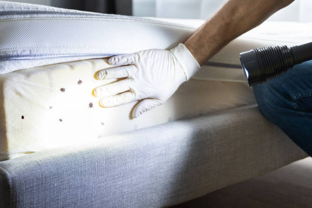 Flea Control Services in South Coatesville, PA