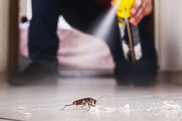 Wildlife Control Services in South Coatesville, PA