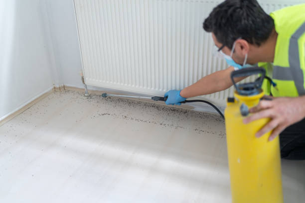 Best Cockroach Control Services  in South Coatesville, PA