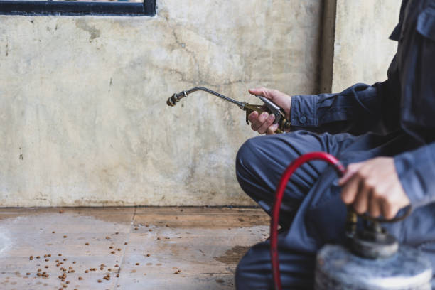 Best Mosquito Control Services  in South Coatesville, PA